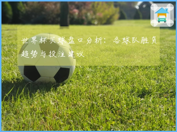 世界杯买球盘口分析：各球队胜负趋势与投注建议