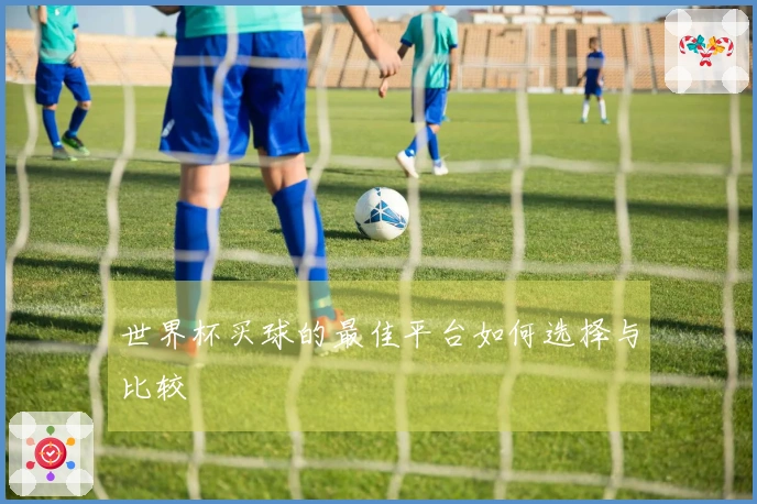 世界杯买球的最佳平台如何选择与比较