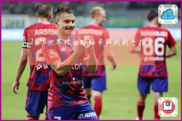 2026世界杯让球赔率解析新手指南