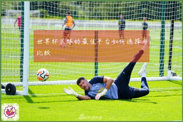 世界杯买球的最佳平台如何选择与比较