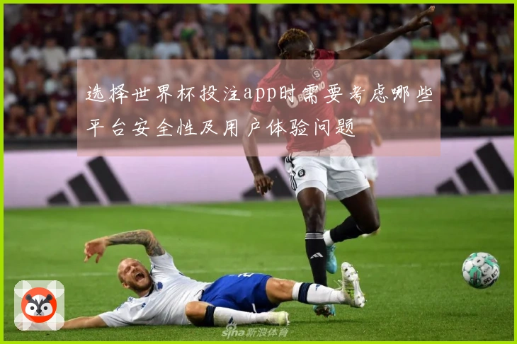 选择世界杯投注app时需要考虑哪些平台安全性及用户体验问题