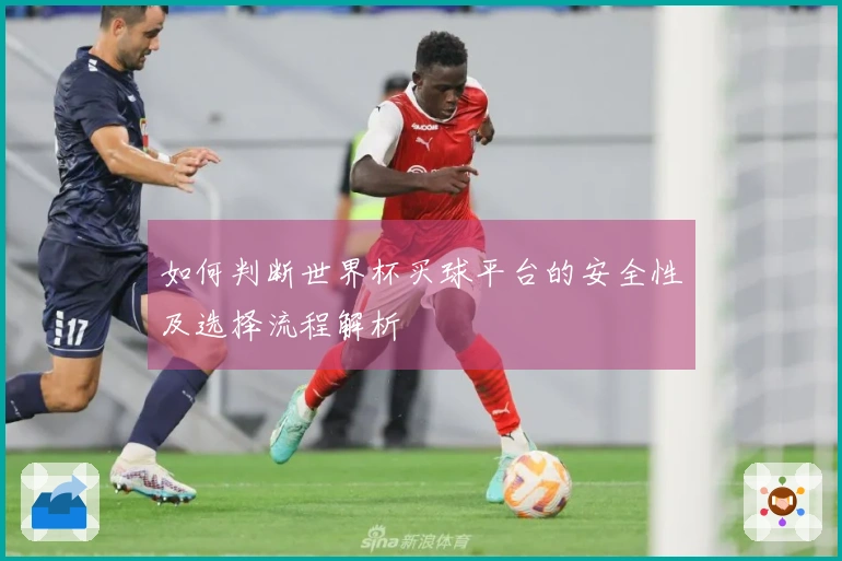如何判断世界杯买球平台的安全性及选择流程解析